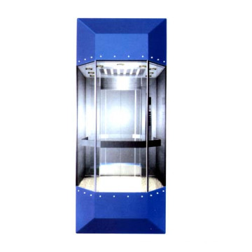 Fjzy Observation Elevator with Good Quality